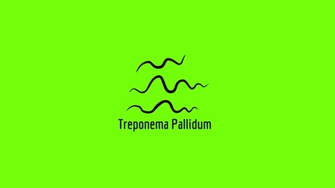 Treponema Pallidum icon animation best simple object on green screen background