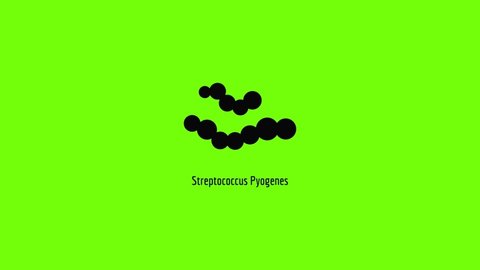 Streptococcus pyogenes icon animation best simple object on green screen background