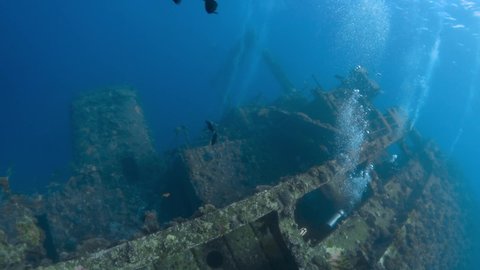 Large black fish swim in formation towards the Giannis D shipwreck in the Red Sea, Egypt. Several divers are on the ship.
