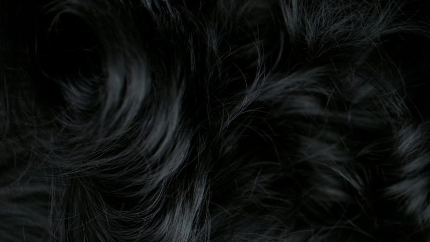 Super Slow Motion Shot of Waving Black Hair at 1000 fps. Royalty-Free Stock Footage #1086376367