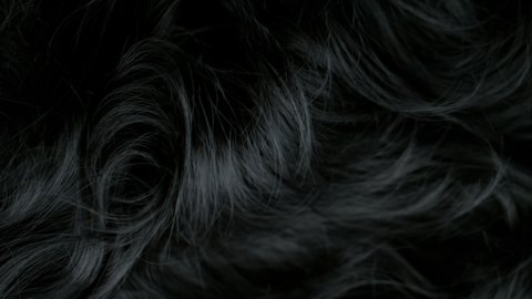 Super Slow Motion Shot of Waving Black Hair at 1000 fps.