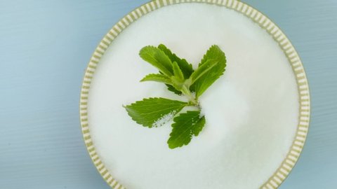 Stevia fresh green twig and Dried stevia leaves. twig in cup on blue background. Stevia rebaudiana. Organic natural sweetener.Stevia plants. 4k footage
