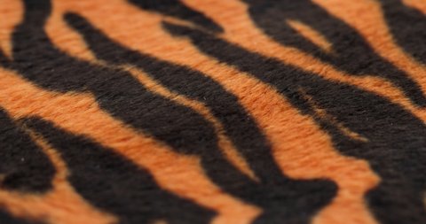 Tiger fur fabric close-up. Animal print background, striped wool textile. Symbol of year 2022. Handmade, fashion design and tailoring concept. 