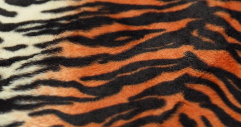 Tiger fur fabric close-up. Animal print background, striped wool textile. Symbol of year 2022. Handmade, fashion design and tailoring concept. 