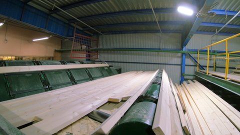 Woodworking production with computerized automatic equipment. The boards are moving along a conveyor belt in the factory.
