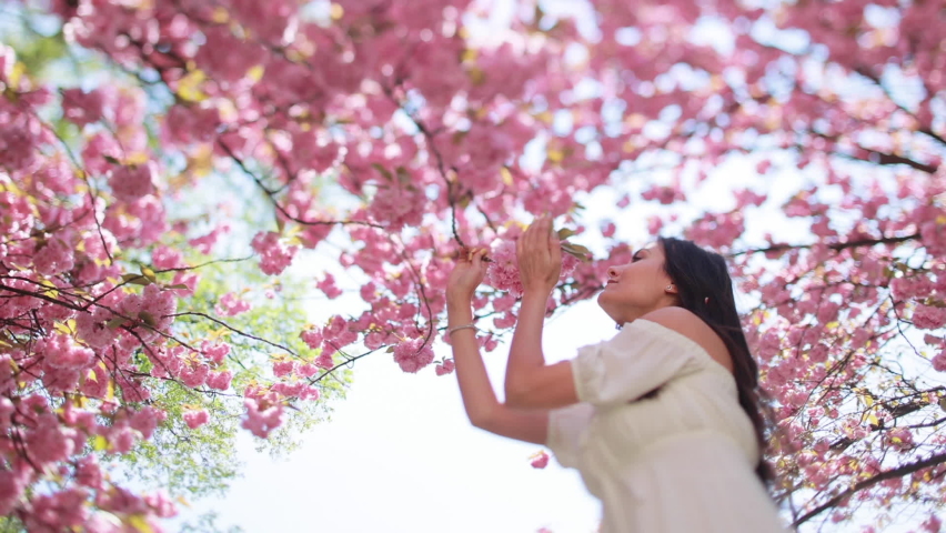 An attractive girl with beautiful long dark hair stands under an incredibly beautiful sakura tree.