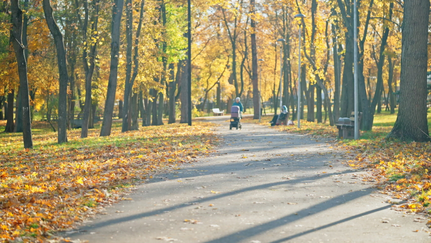 People walking in sunny autumn park, enjoying warmness and beautiful view Royalty-Free Stock Footage #1086401945