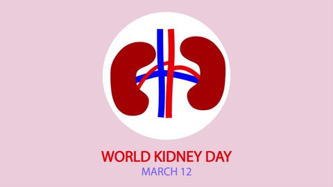 World kidney day infographics, art video illustration.