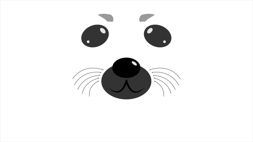 International day for the protection of seals, art video illustration.