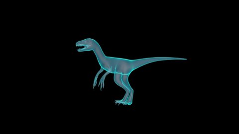 A Beautiful 3D Velociraptor Holograph turntable render