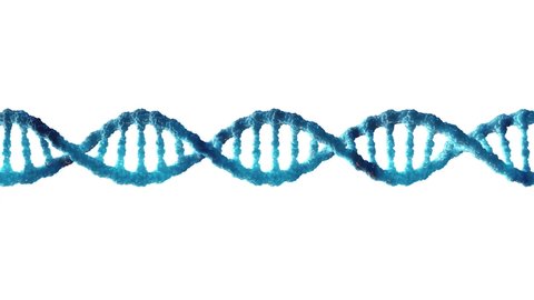 Animation of double helix DNA molecule isolated on white background. Molecular genetics and Genetic engineering concept