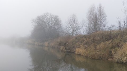 A motorboat is sailing down the river along the shore. Visibility is limited due to fog. In November, the trees and bushes on the shore have already shed their leaves and the grass has dried up.