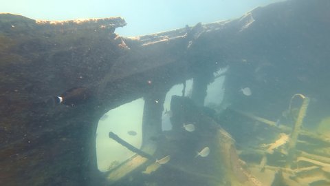 Portholes of a sunken ship in shallow water. Coral reefs that grew on the sunken ship and marine flora and fauna that settled nearby near the ship. Colored tropical fish.