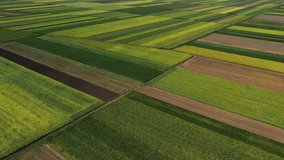 Aerial view of cultivated agricultural fields in countryside from drone pov, abstract rural farmland patchwork as background - Powered by Shutterstock - Get 15% off with code: PIKWIZARD15