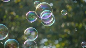Slow-motion shot of shining soap bubbles slowly ascending in the park - Powered by Shutterstock - Get 15% off with code: PIKWIZARD15
