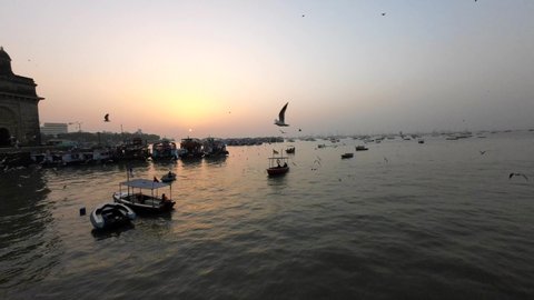 the lots of pigeon and sea bird flying on gateway of India over boats