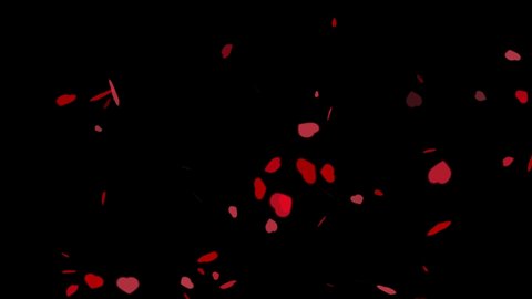 Small hearts flying up and rotate randomly isolated on black background. Concept of Saint Valentines greeting card. Slow red hearts rain animation. High quality 4k footage