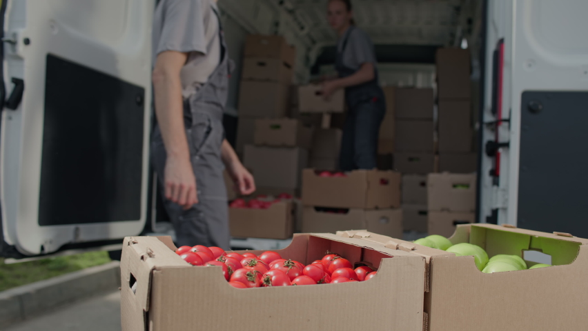 Harvest delivery to fruit market on food truck. Male worker carrying boxes of vegetables. Transport service to grocery trade from farm factory. Products supply on lorry van. Foodstuffs production Royalty-Free Stock Footage #1086445067