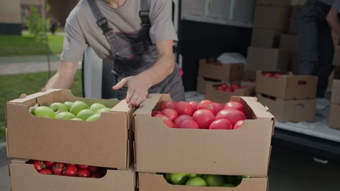 Harvest delivery to fruit market on food truck. Male worker carrying boxes of vegetables. Transport service to grocery trade from farm factory. Products supply on lorry van. Foodstuffs production