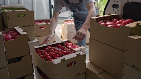 Harvest delivery to fruit market on food truck. Male worker carrying boxes of vegetables. Transport service to grocery trade from farm factory. Products shipping on lorry van. Foodstuffs production