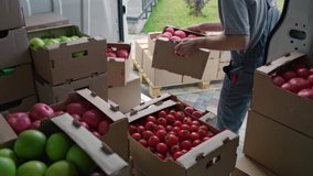 Harvest delivery to fruit market on food truck. Male worker carrying boxes of vegetables. Transport service to grocery trade from farm factory. Products shipping on lorry van. Foodstuffs production - Powered by Shutterstock - Get 15% off with code: PIKWIZARD15