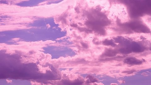 Beautiful Unusual Pink Lilac Cumulus and Cirrus Clouds in Blue Lilac Sky at Dawn, Relax, Time Lapse, Beauty. Lilac Skyscraper with Pink Clouds.