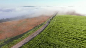 The country road passing through the agricultural lands is covered with fog. Footage from a bird's eye view. Ukraine, Europe. Cinematic drone shot. Filmed UHD 4k video. Discover the beauty of earth.
