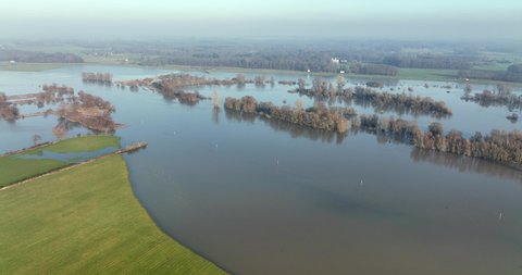 Aerial view of trees in submerged floodplains along river IJssel, Welsum, Overijssel, Netherlands