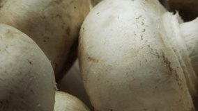 White Mushrooms super close up stock footage