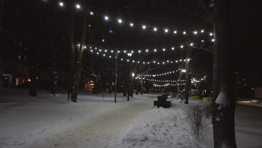 road in the park with a New Year's garland in winter time at night Royalty-Free Stock Footage #1086462269