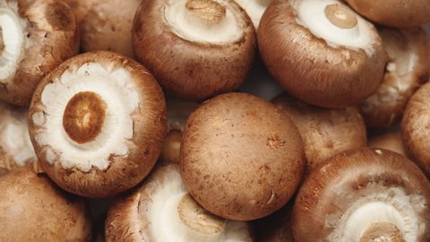 Top View Of Uncooked Fresh Raw Royal Champignon Mushrooms Rotating Close Up. Appetizing Brown Mushrooms Ready For Eating. Bowl with Edible Vegetables Cultivated Conception