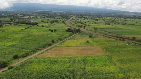 African agriculture green cultivated plantations in southern Kenya, aerial view