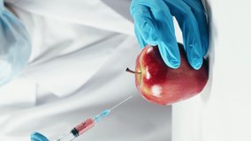 Vertical video of medical scientist inspecting apple, working in laboratory. Food research, genetic Modifications of Product. Microbiologist analyzing lab-grown pieces of fruit.