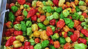 Colorful mix of Jamaican hot scotch bonnet peppers for sale on a market stall.  Slow motion, pan shot. - Powered by Shutterstock - Get 15% off with code: PIKWIZARD15