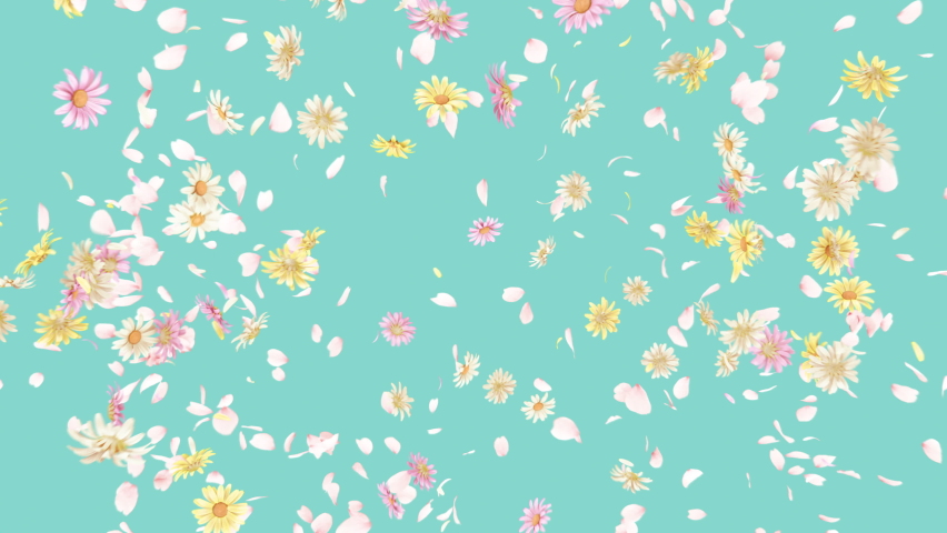Daisy and Petals Blast on Pastel Background. 3D rendering. Blast of daisy on pastel background Royalty-Free Stock Footage #1086489329