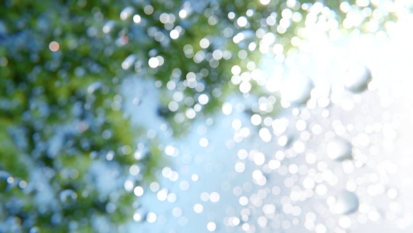 Refreshing morning dew water droplets are falling from green leaves of a tree in super slow motion providing natural soothing and moisturizing effect. Realistic 3d animation Royalty-Free Stock Footage #1086493043