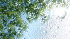 Refreshing morning dew water droplets are falling from green leaves of a tree in super slow motion providing natural soothing and moisturizing effect. Realistic 3d animation - Powered by Shutterstock - Get 15% off with code: PIKWIZARD15