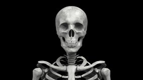 Animation of rotating human skeleton. Repeatable 3D rendered video.