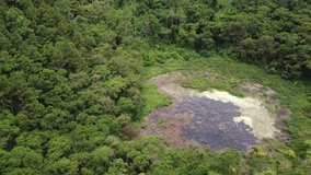 An extinct ancient volcano called Trou-aux-Cerfs surrounded by jungle forest, video from a drone of a volcano in Mauritius