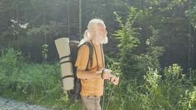 Senior Man Hiker Walking Along the Road in the Forest with a Backpack and Nordic Walking Poles. Hike, Natural Park. The Concept of an Active Lifestyle And Outdoor Recreation.