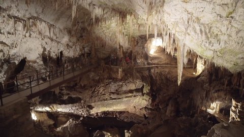 Family exploring the interior of Postojna Cave in massive cavern