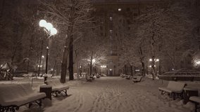Christmas weather. Snow-covered tree branches and snowfall. Night city landscape. - Powered by Shutterstock - Get 15% off with code: PIKWIZARD15