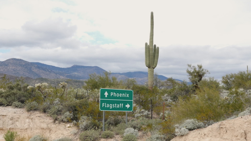 Saguaro Cactus with Phoenix and Flagstaff Arizona Sign Closeup