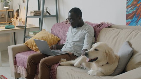 Young African American man chatting on online video call on laptop and petting cute dog while sitting on sofa in living room