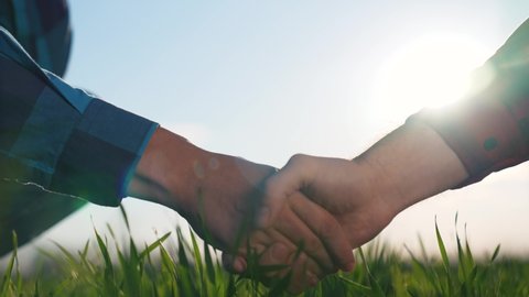 Agriculture. Farmers handshake in field. Agribusiness. Agricultural farm. Farmers handshake in green field. Farmers in wheat field concluding contract. Teamwork of farmers. Agricultural contract.