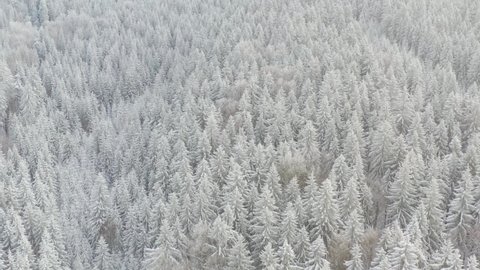 Spruce forest on the north, beautiful aerial top view. Amazing winter scene. Christmas theme. Winter background.
Winter forest aerial view. Amazing nature landscape.