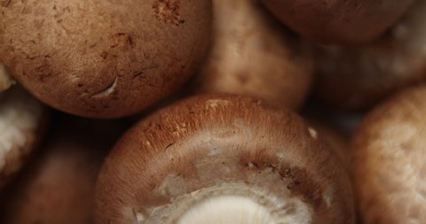 Macro View Of Uncooked Fresh Raw Royal Champignon Mushrooms Rotating Close Up. Appetizing Brown Mushrooms Ready For Eating. Bowl with Edible Vegetables Cultivated Conception