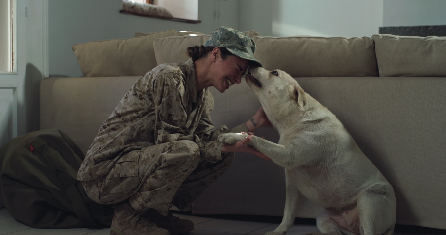Cinematic shot of young happy female soldier in camouflage military uniform and cap is hugging emotional and playing with her labrador retriever dog puppy just turn back home after mission.