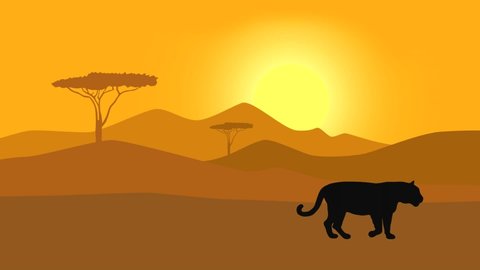 Silhouette of walking black jaguar in savanna (animation, seamless loop)