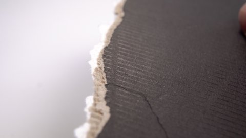 Torn black paper edge. Corrugated ripped cardboard layers. Macro shot. On white background